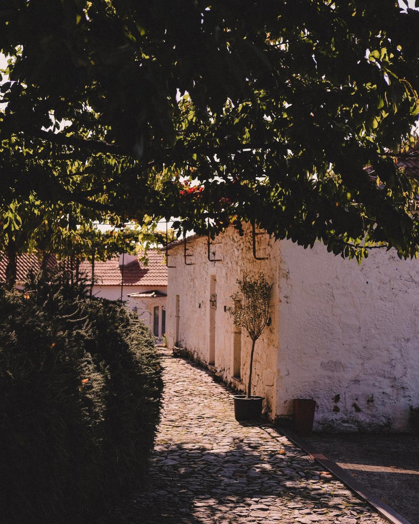 Casal De Tralhariz - Douro Valley Exterior photo