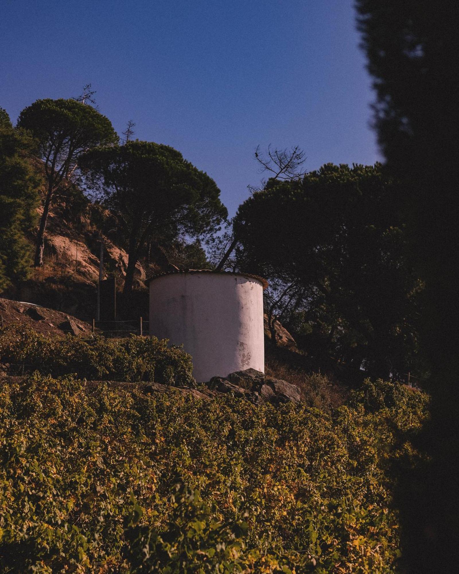 Casal De Tralhariz - Douro Valley Exterior photo