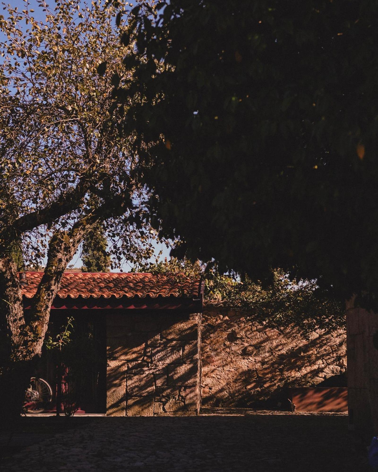Casal De Tralhariz - Douro Valley Exterior photo